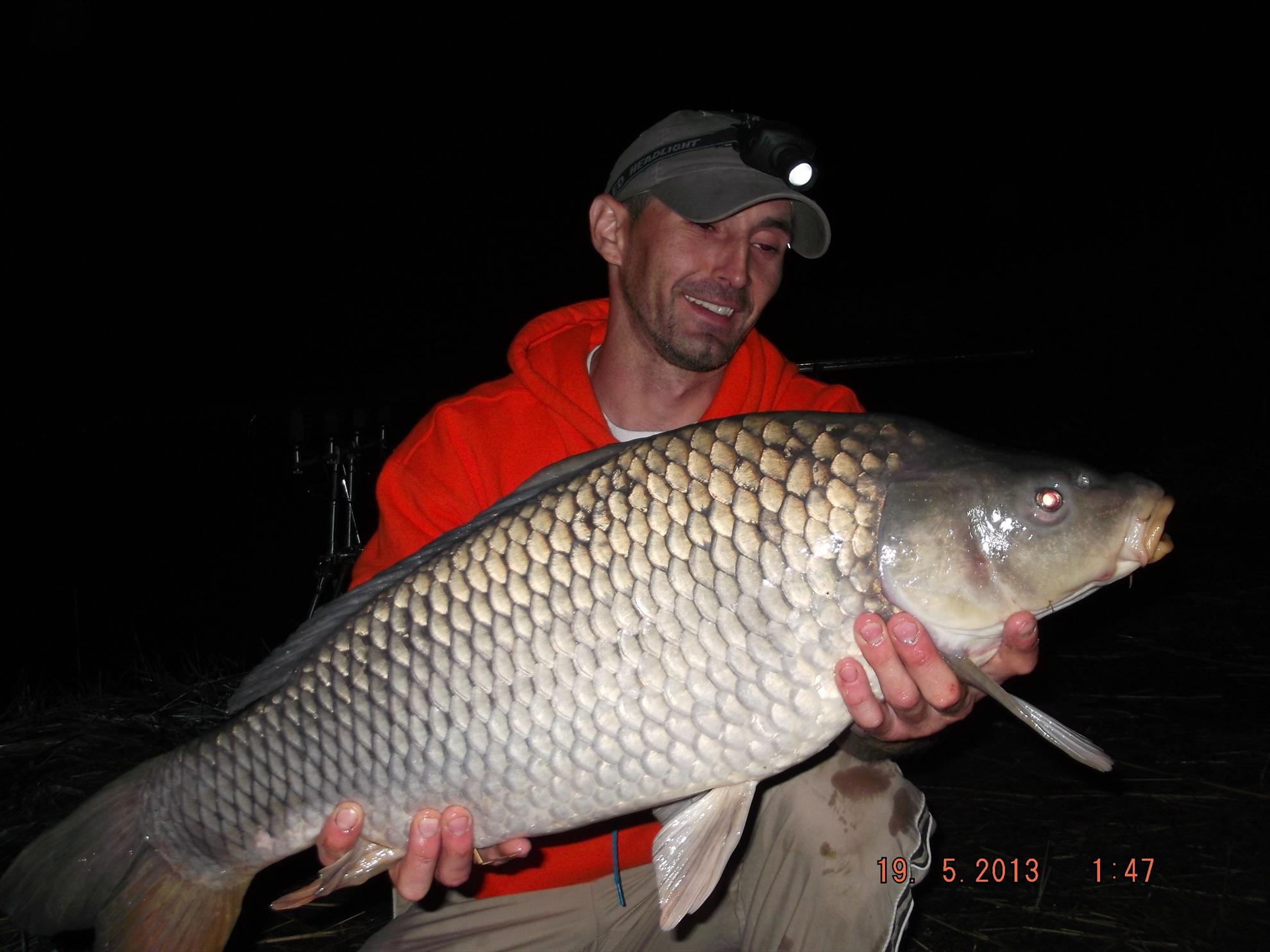 noaptea partea a ll - dscf0622.JPG